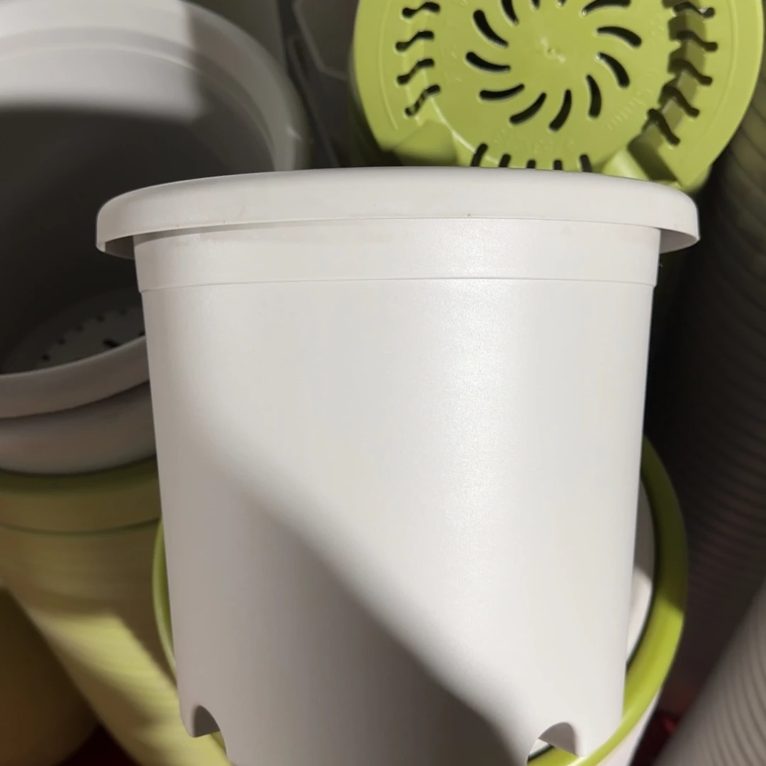 树脂微瑕5号6个无托，灰白