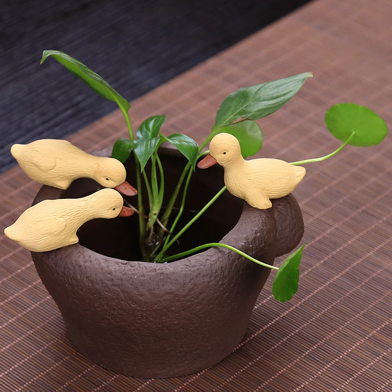 创意紫砂铜钱草多肉花盆小鸭戏水培小猪喝水鸳鸯精品茶宠摆件可养