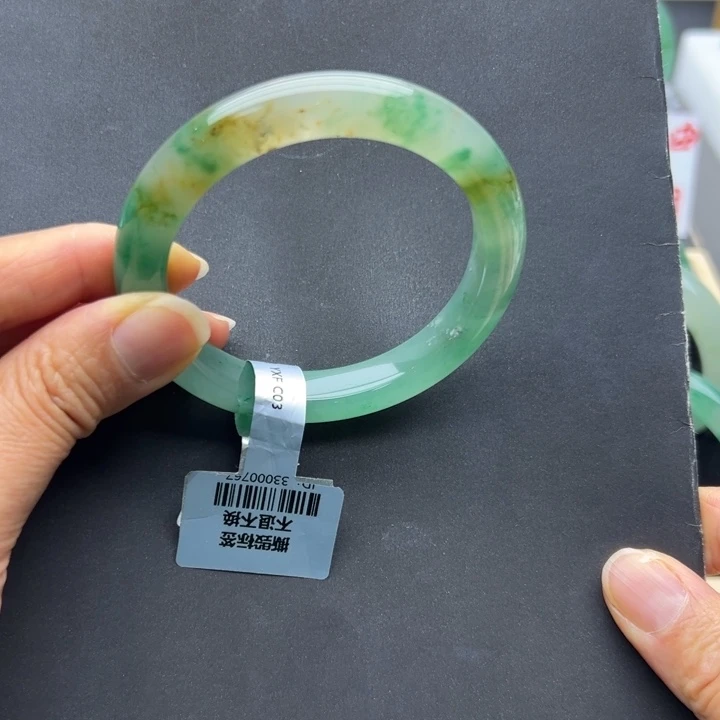 石英质玉未镶嵌手镯燕子➕56.5