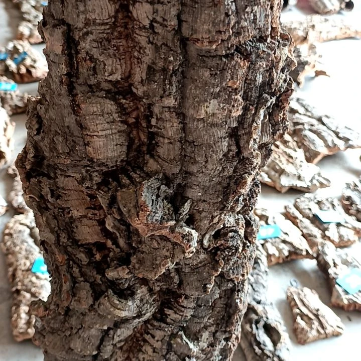 一物一拍一物一发