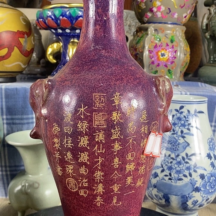 陶泽如花儿盛开了