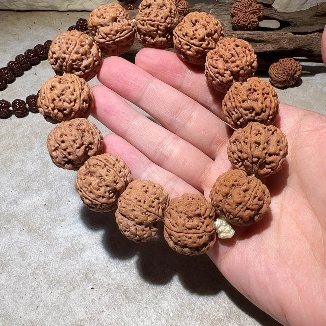 金刚菩提手串毕业级五星双龙24尺寸左右福利