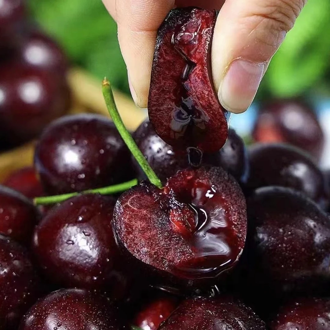 两斤4JD桑缇娜车厘子海运阿尔巴尼亚