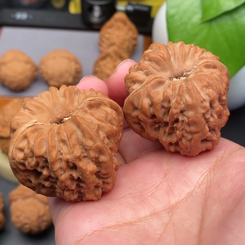 【闪购商品】文玩核桃把件聚宝盆