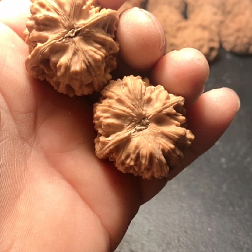 【闪购商品】画****店卧龙粗筋