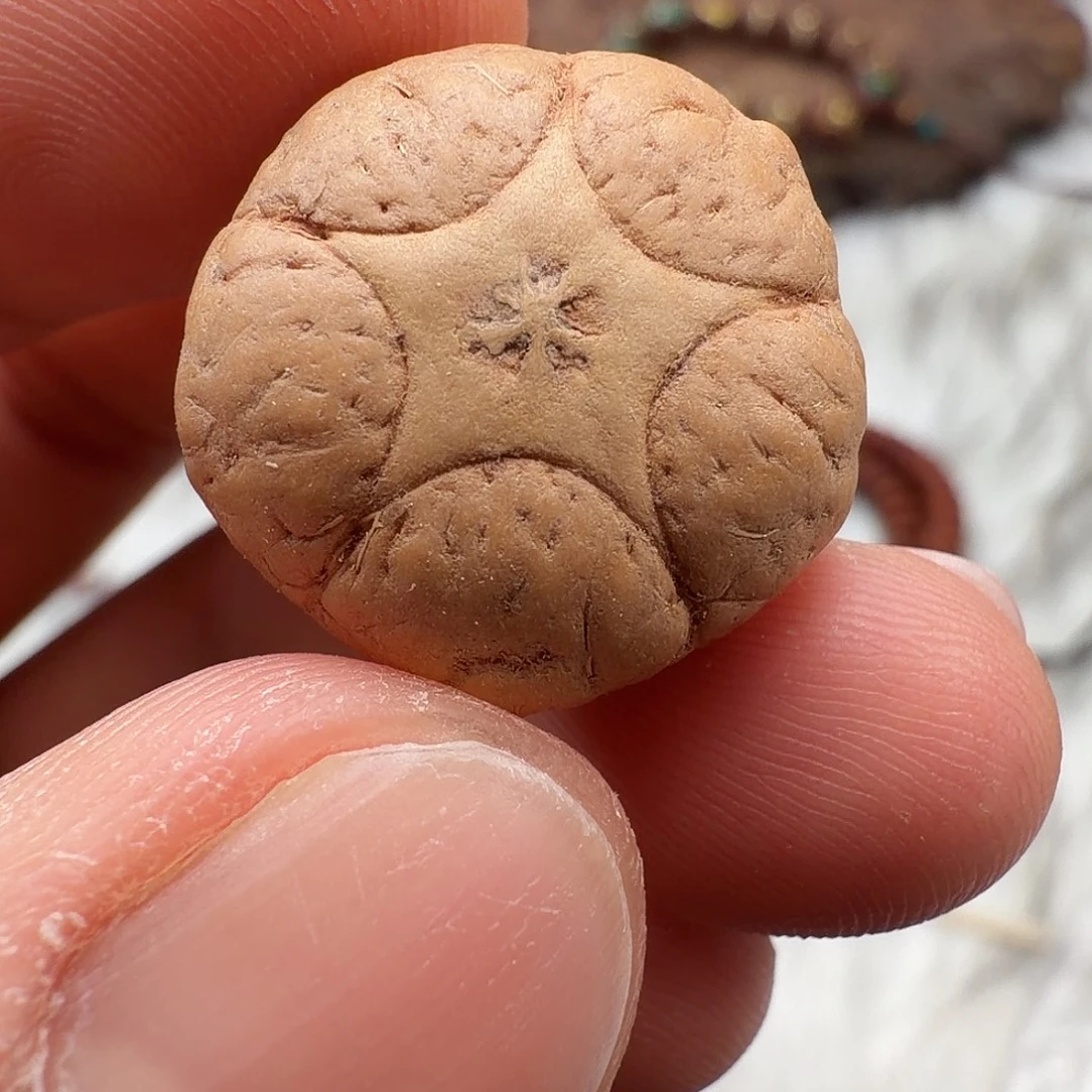 凤眼菩提吊坠五星