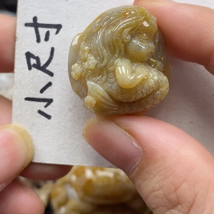 硅化珊瑚（珊瑚玉）未镶嵌颈饰