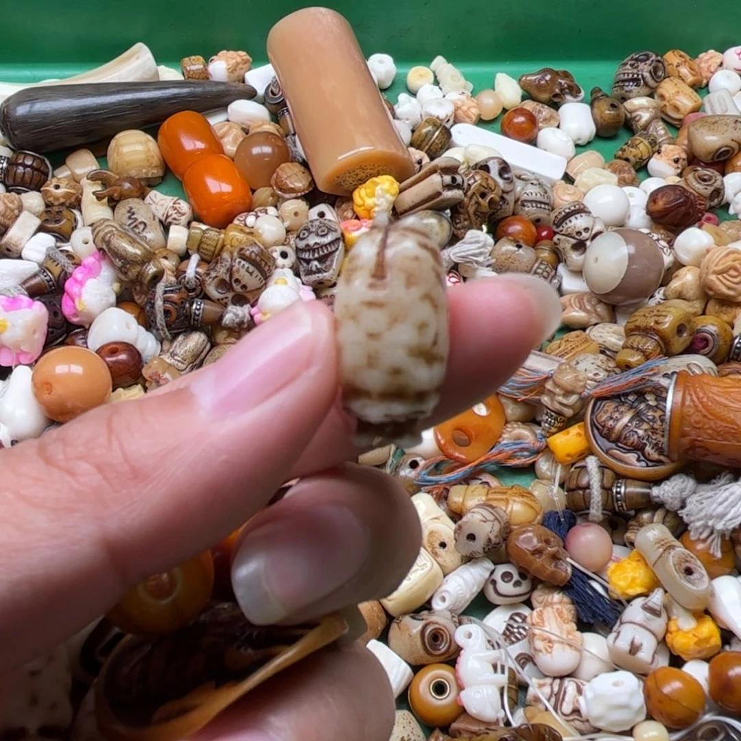 手串/手链贝壳人工养殖驼骨70