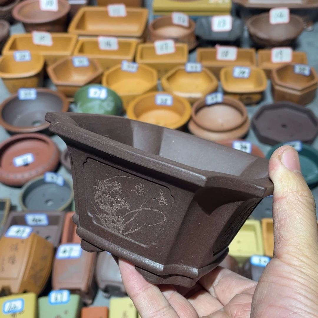 紫砂小盆11*6cmmmm