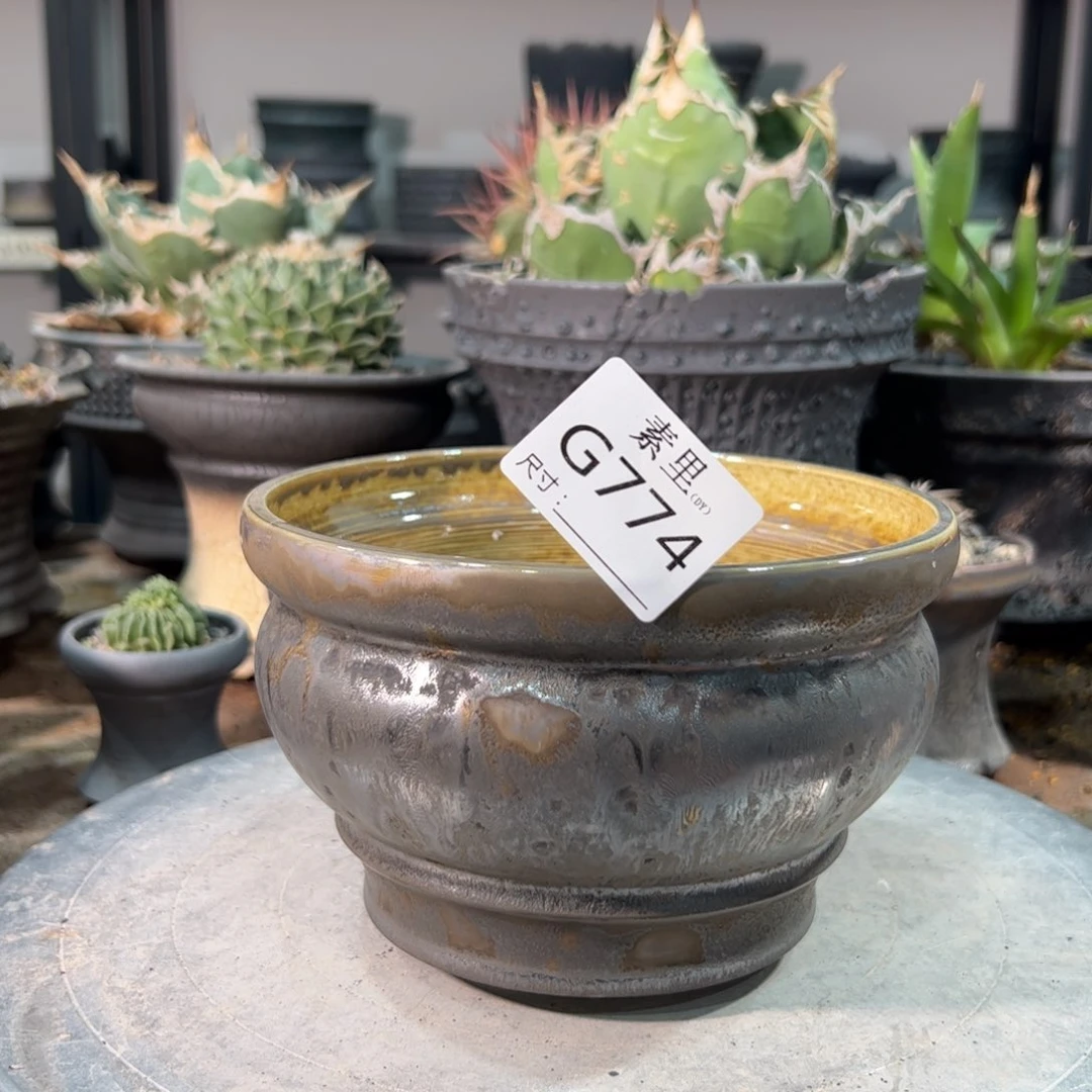 景德镇手工素里内面14.5高10.6