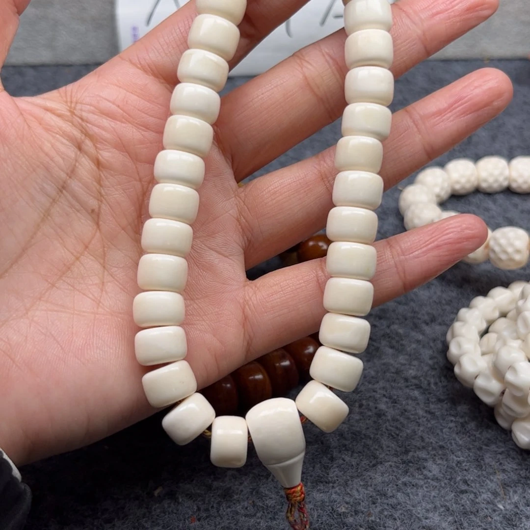 鹿骨其他人工养殖驼骨50