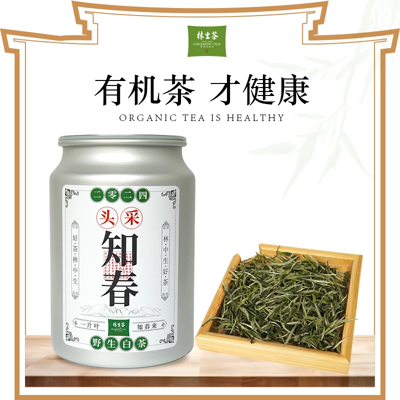 【知春】高山头采有机白茶 300g