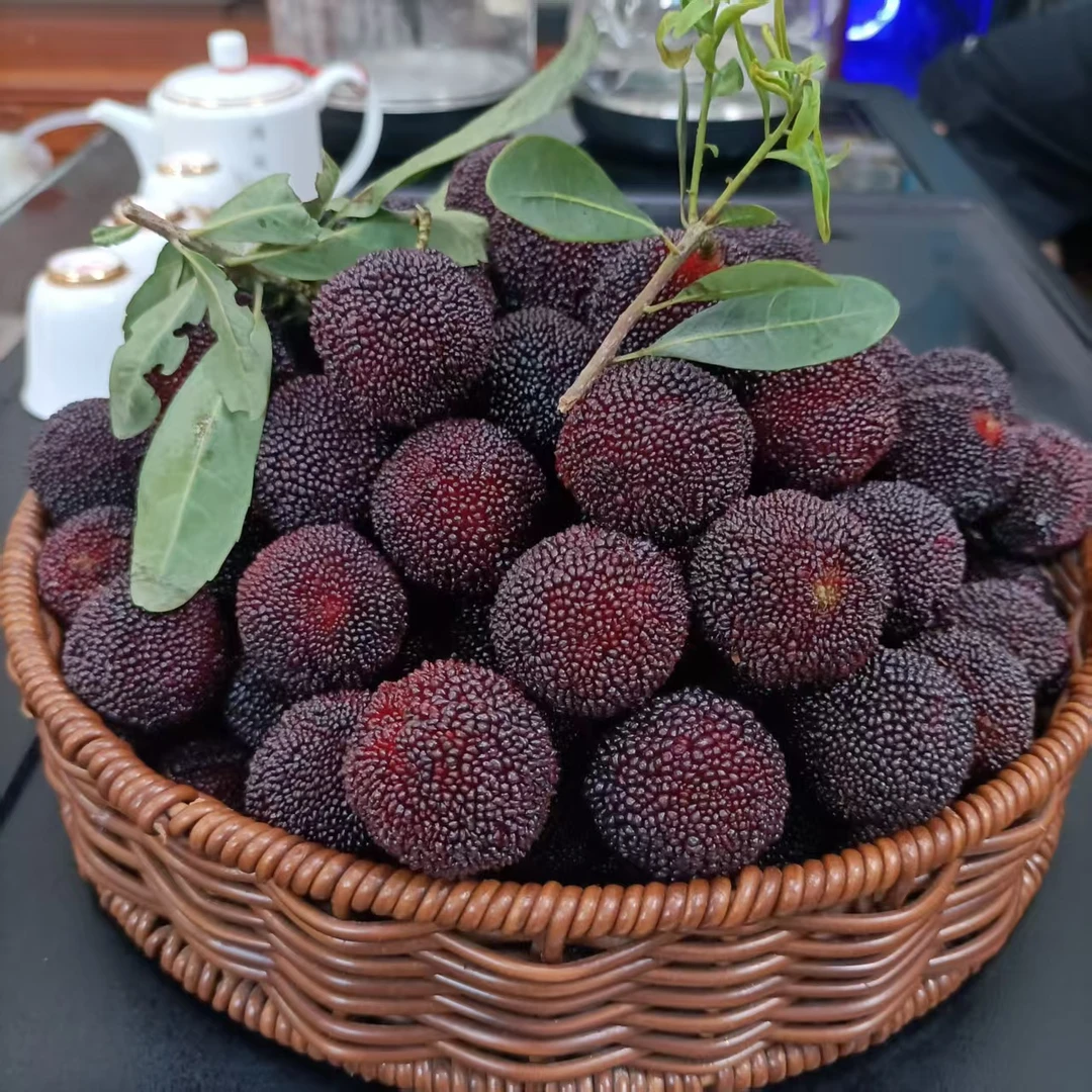 金灶本地软枝杨梅 酸甜口感孕妇爱吃杨梅2斤装