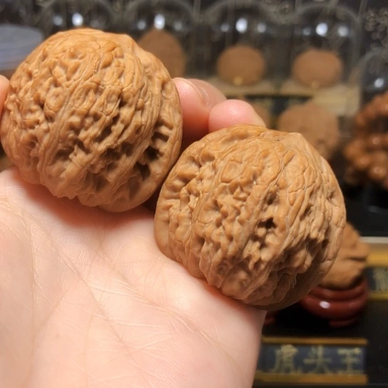 野生：精品绣球货头