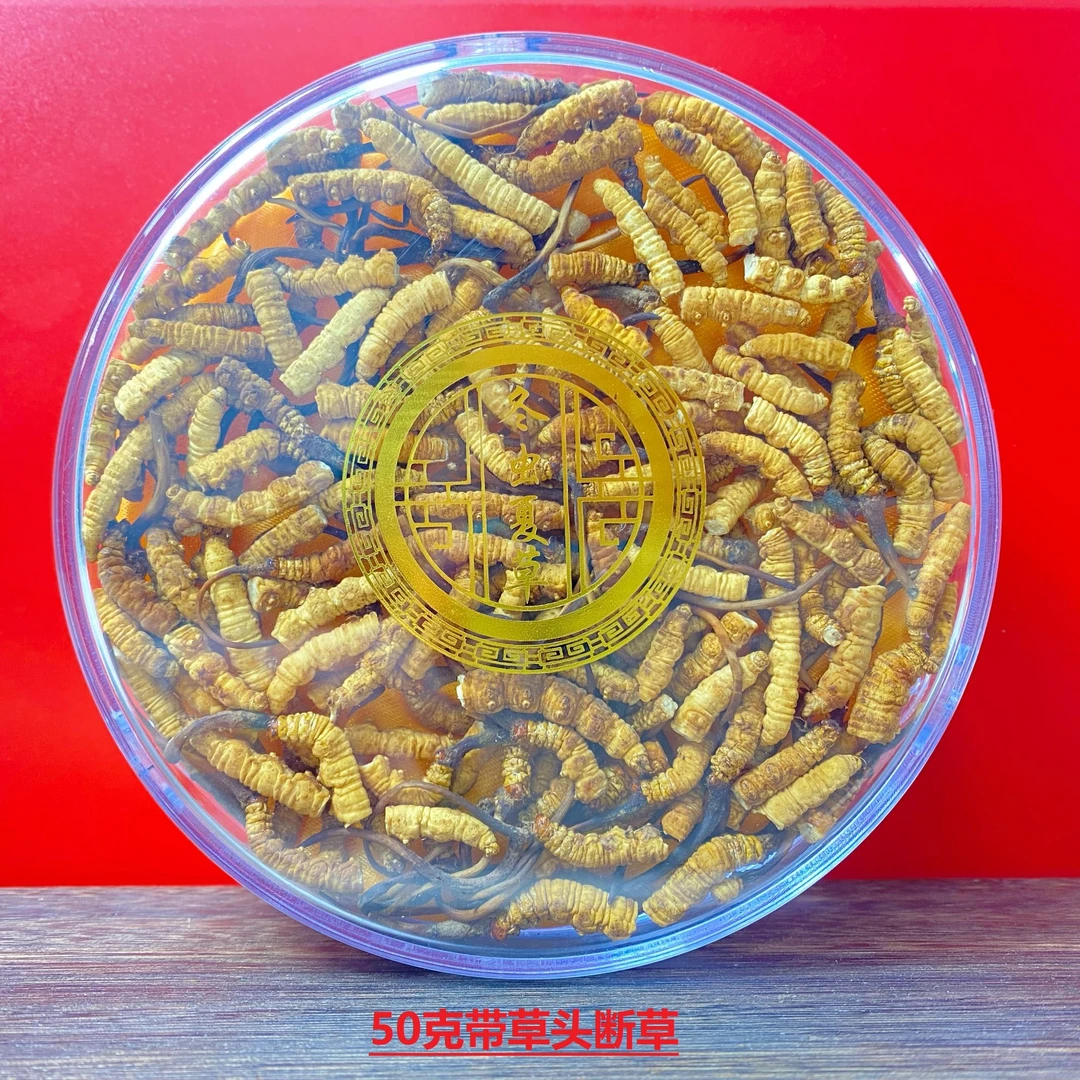 【玛朵专属】50克带草头断草 2024头茬干冬虫夏草甄选滋补品质泡酒