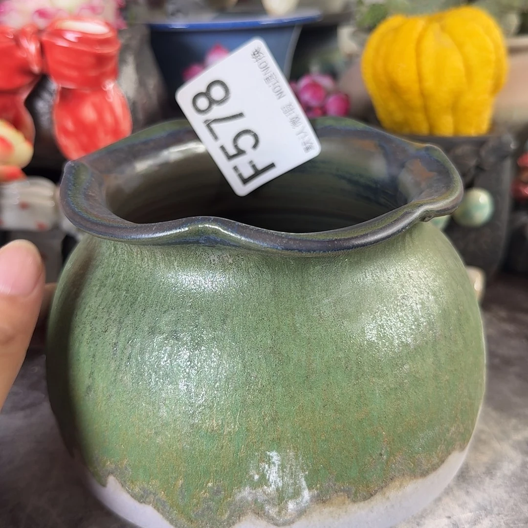 重庆小燕子欢迎大家578