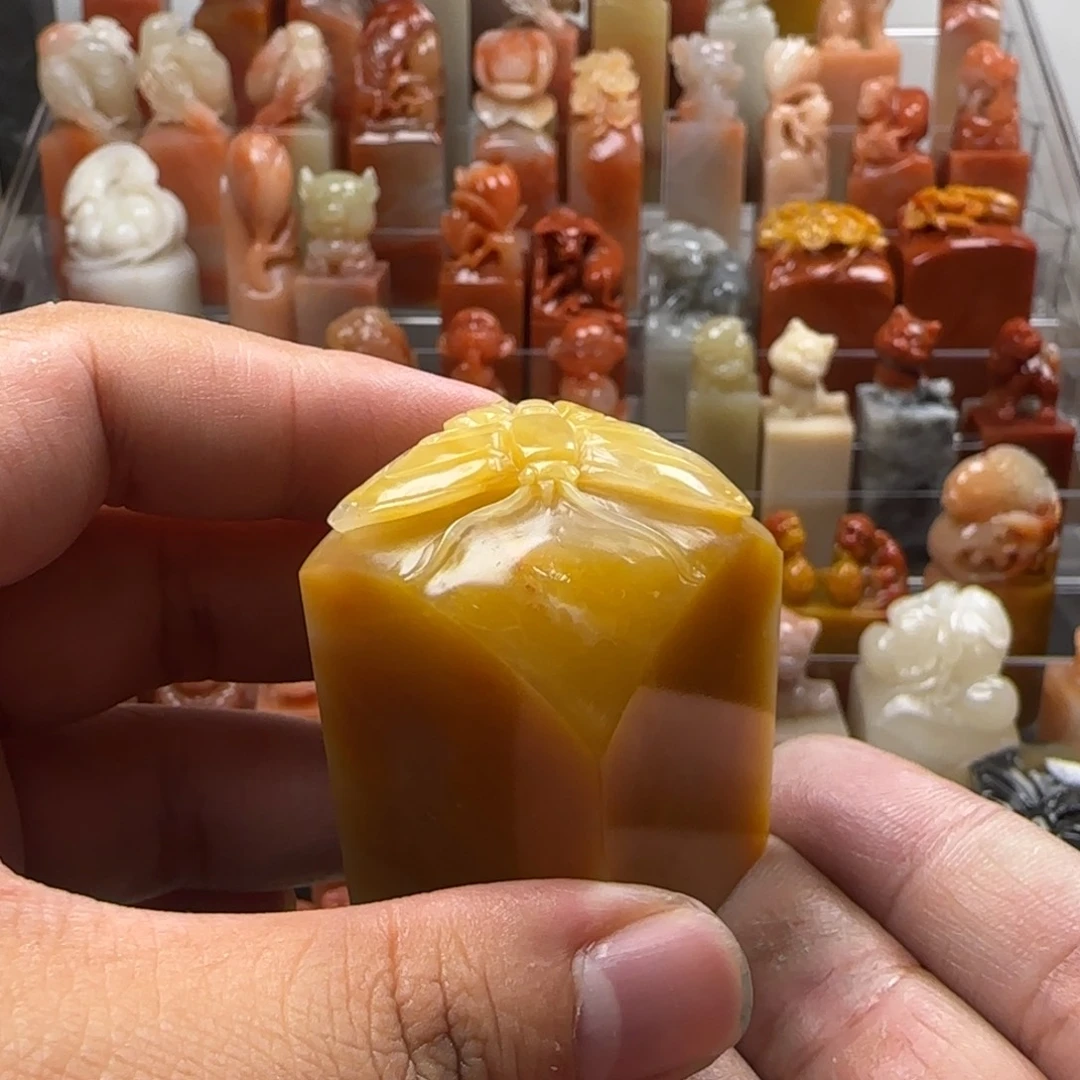 老挝石蝴蝶 3×4.8