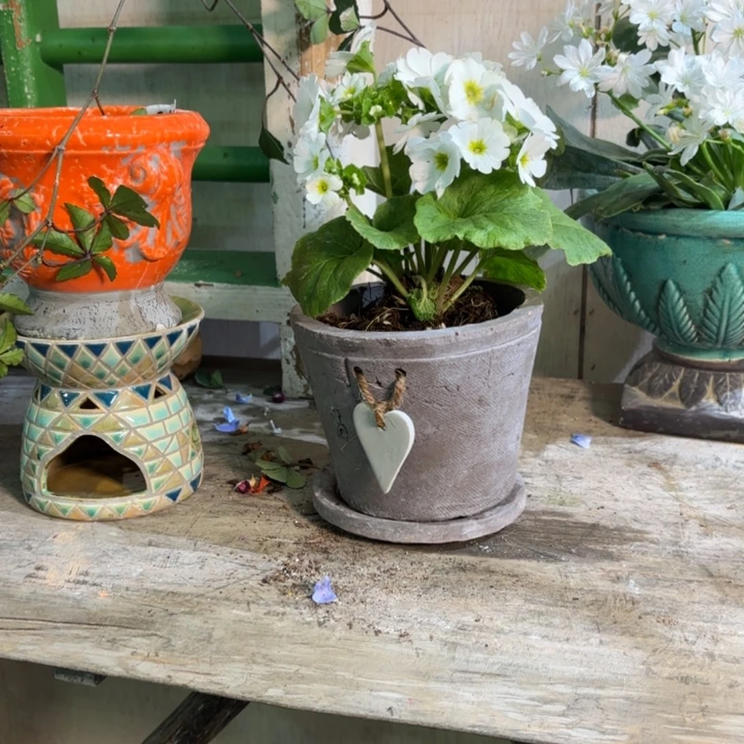 许纯的花房 爱心一套