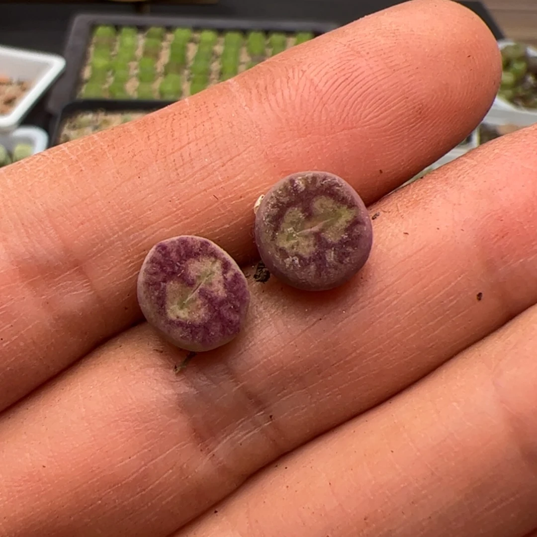 【闪购商品】?***g000000023