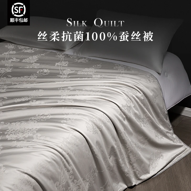 臻丝逸真正蚕丝被100%桑蚕丝夏凉被夏天空调丝绵被二合一子母被
