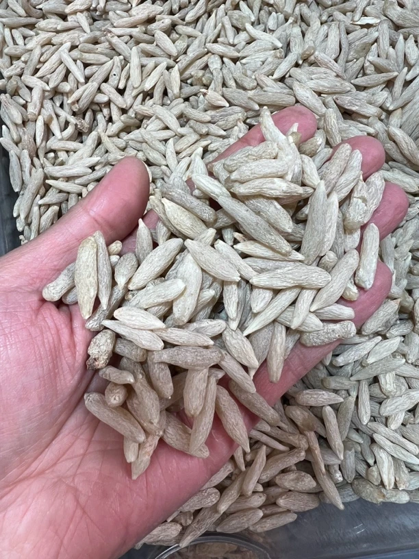 麦冬 手工挑选大颗粒参 搭配参滋补保障食用散装称重