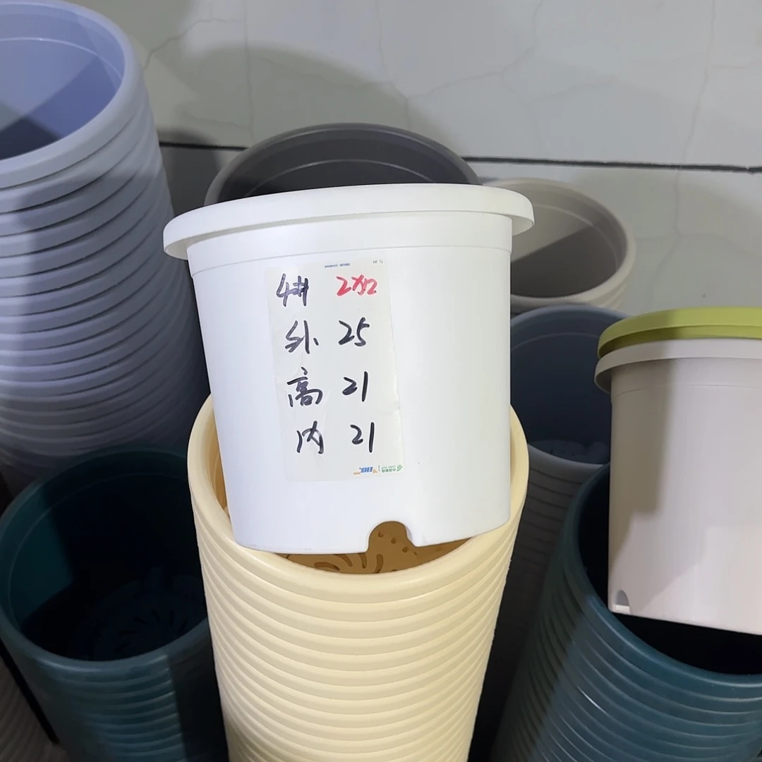 微瑕4号8个无托，白色