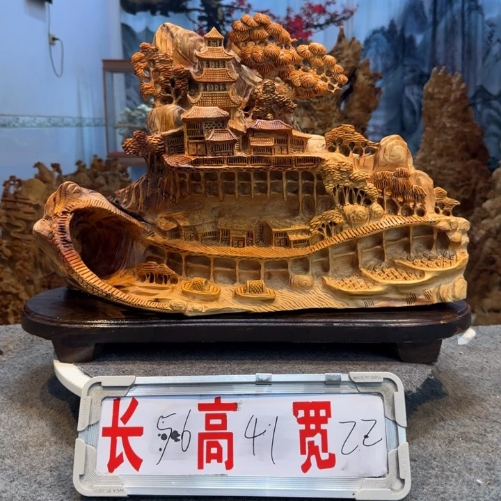 柏木（崖柏）崖柏1111111