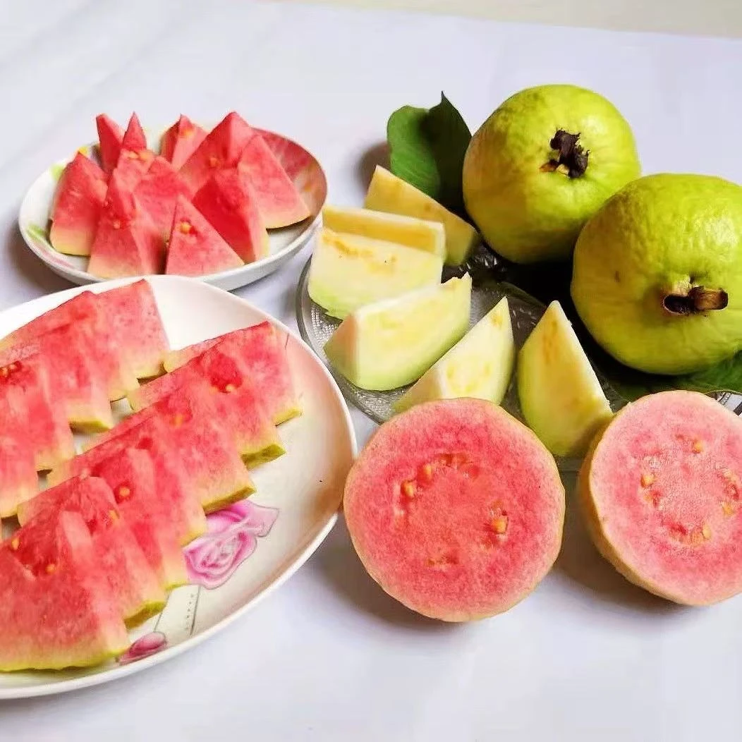 鲜果欢白心红心芭乐香甜软糯番石榴3斤装坏果包赔