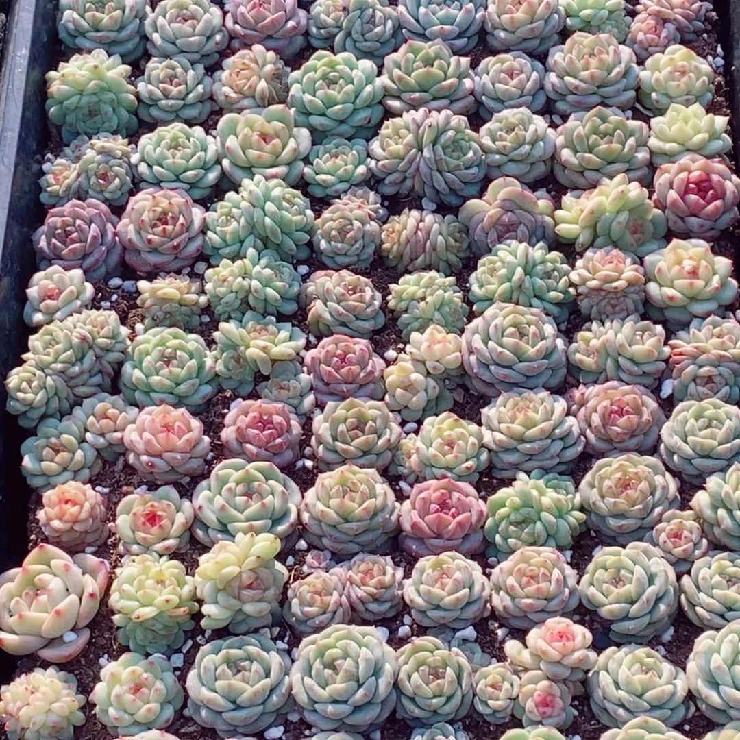 我***A183的我是一个人的时候就