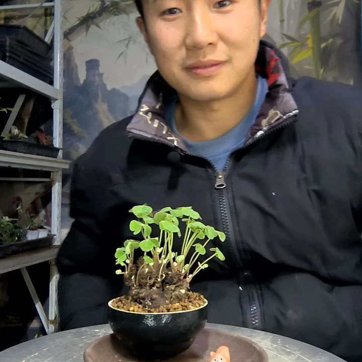 老***了中青园艺一物一拍花52