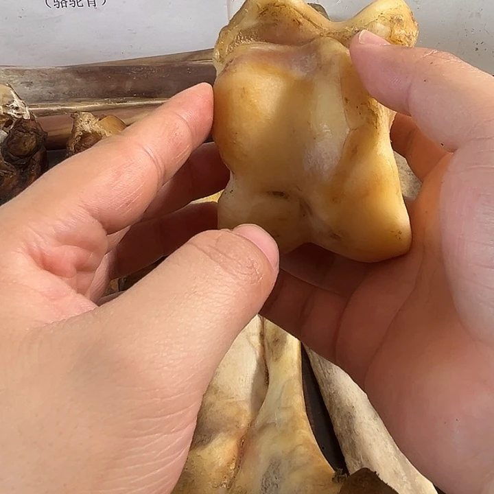 hhhu弹跳骨弹跳骨弹跳骨弹跳骨弹跳骨弹跳骨