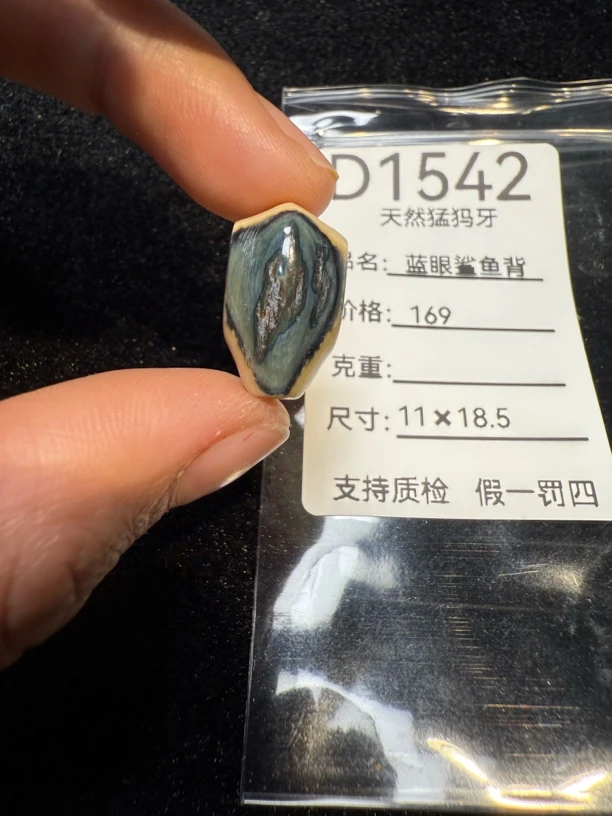 D1542天然猛犸牙蓝眼鲨鱼背配饰