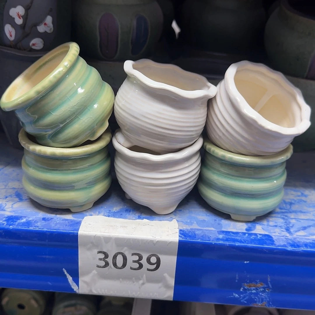 6个随机图案随机颜色-3039