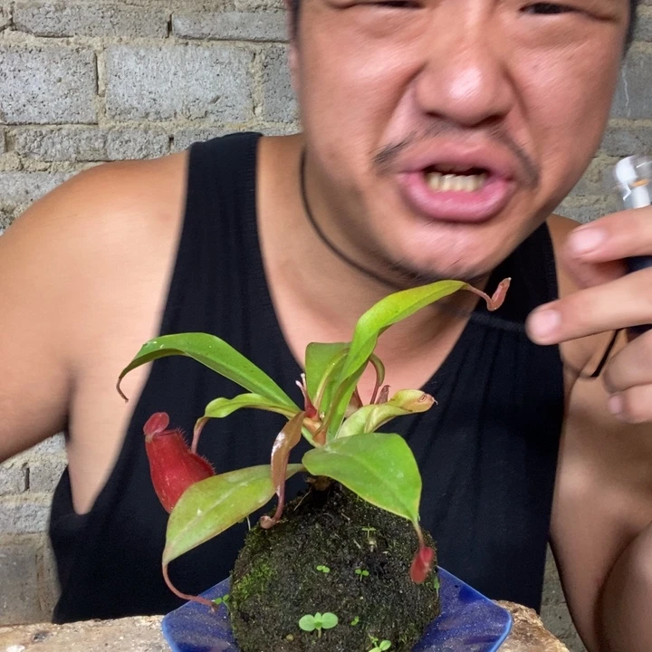 退款拉黑一物一拍60