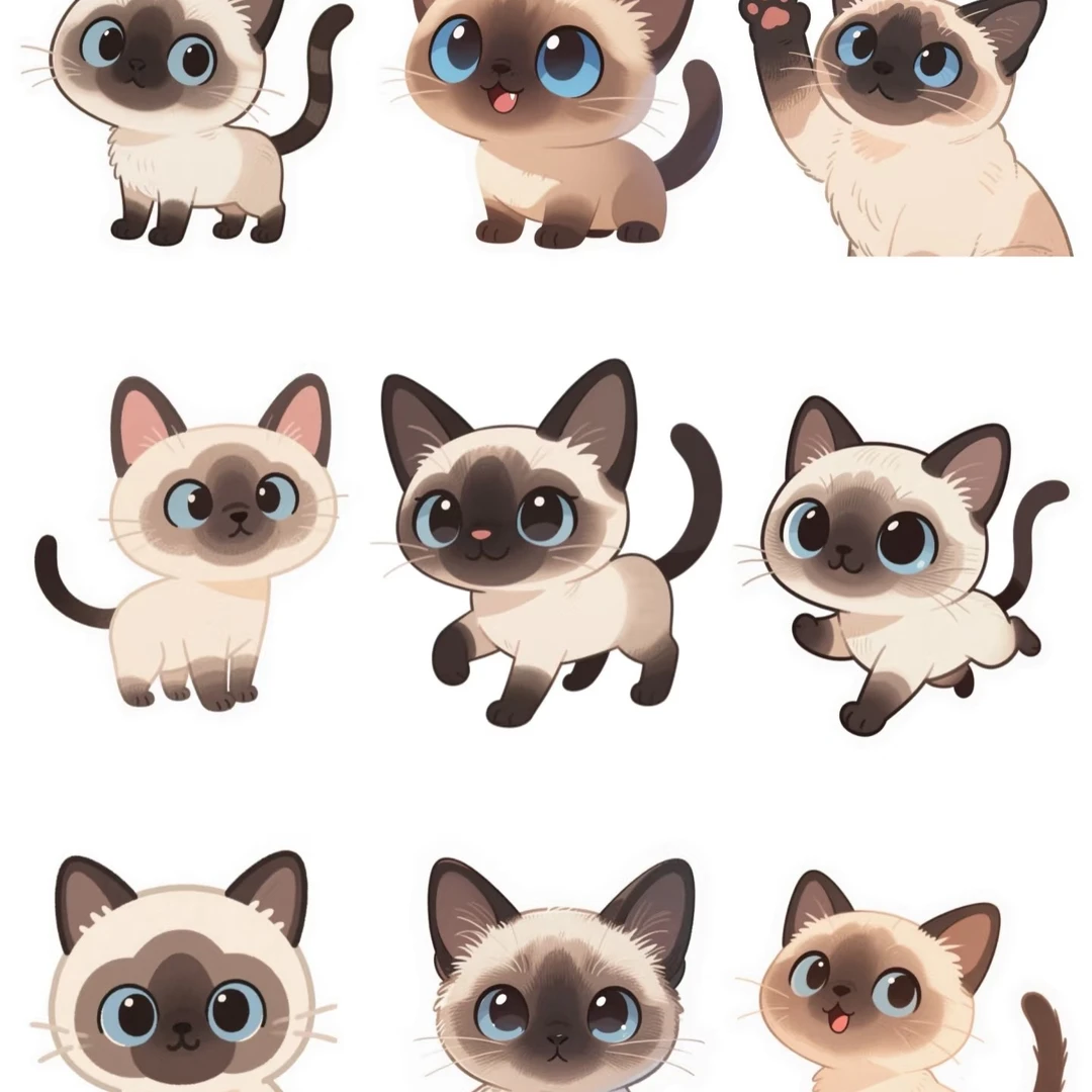 家养纯种宠物暹罗猫金渐层布偶起司平台下单质保 30 天猫瘟猫传腹