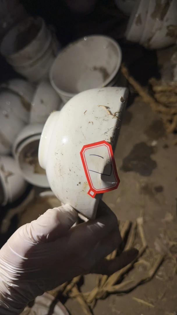 素胎强化瓷17号碗 口径12.5