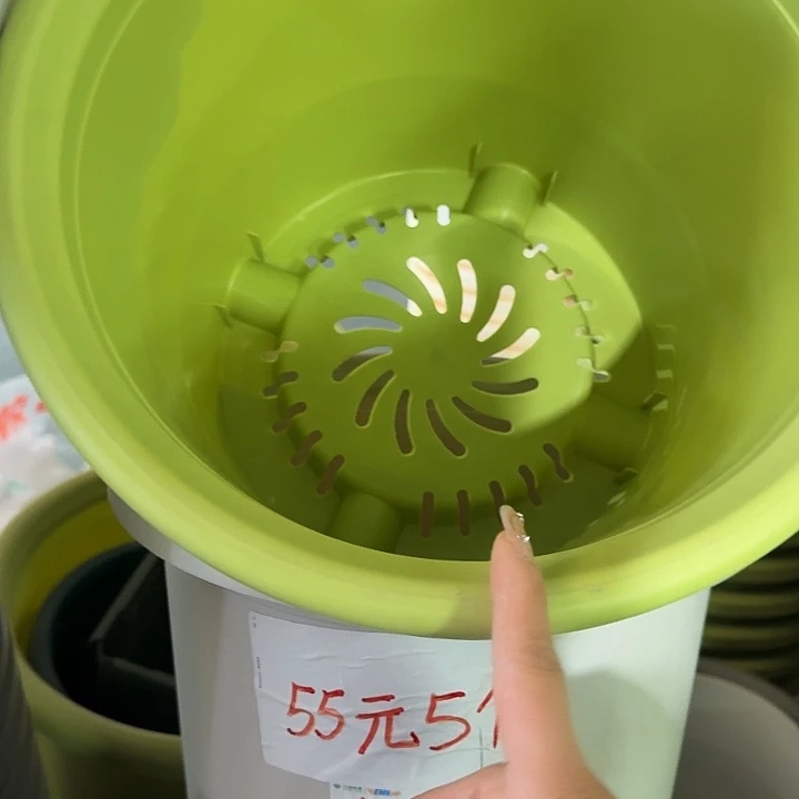 四季6号果绿无托7个特价