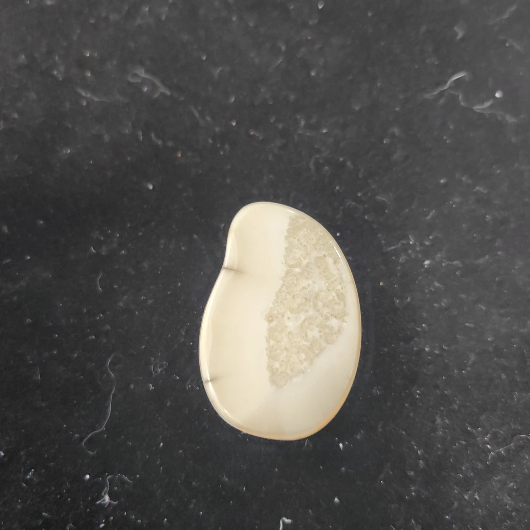 猛犸猛犸虬饼子WT584