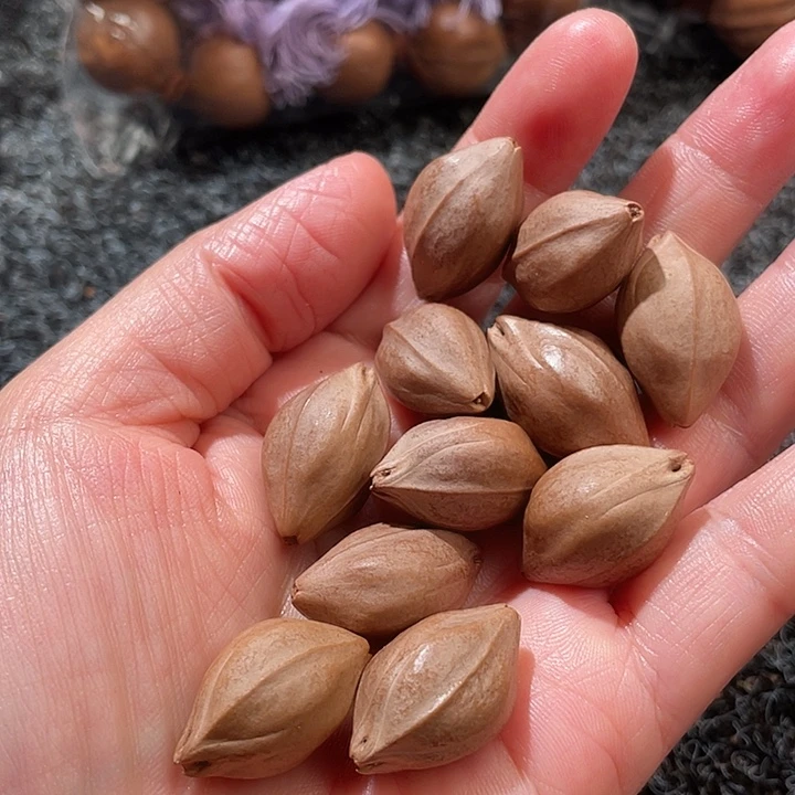 @***舟橄榄核吊坠1.5✖️2.4