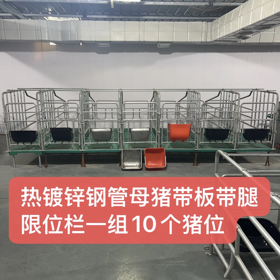 母猪热镀锌钢管带板带腿定位栏限位栏