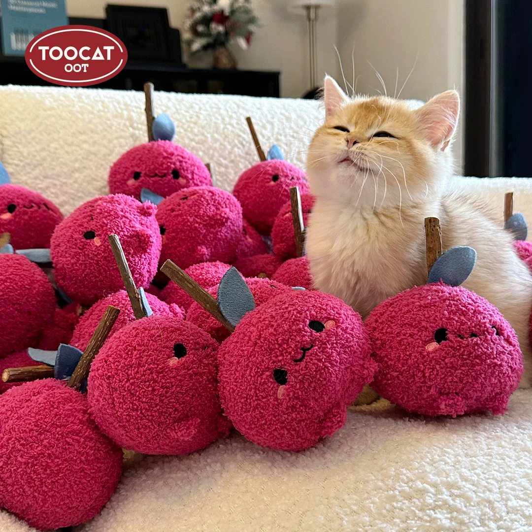 TOOCAT萌趣猫咪啃咬磨牙棒猫玩具木天蓼猫自嗨神器逗猫棒宠物玩具