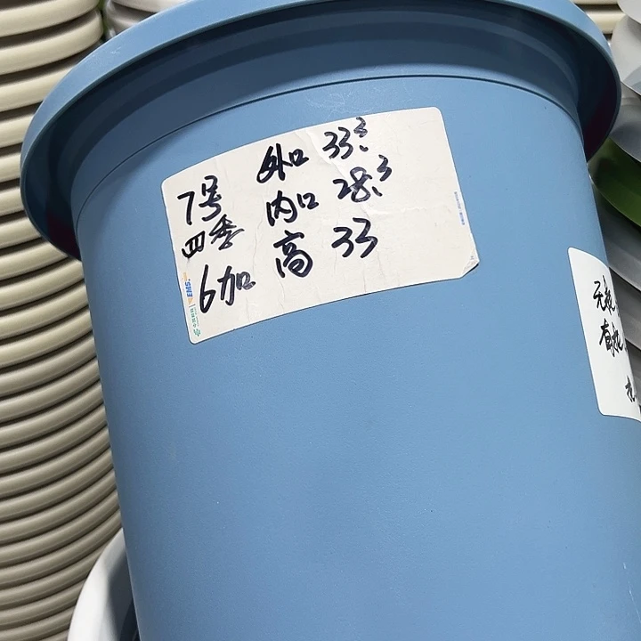 特价7号口33高33白色6只无托