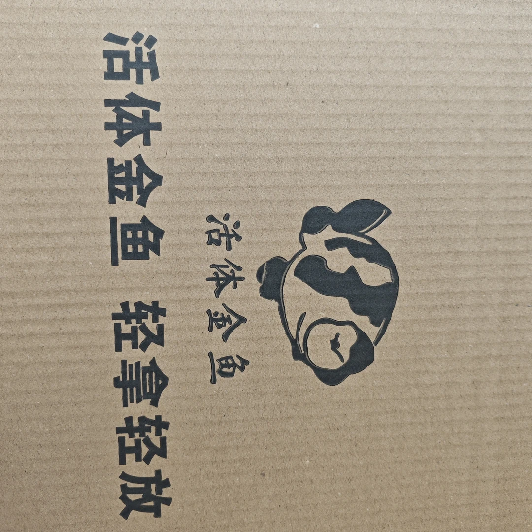 金鱼包装及运费服务