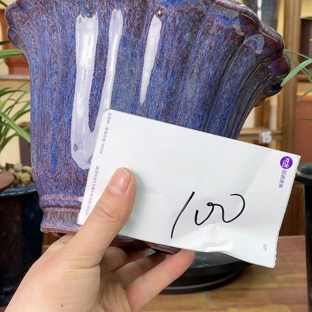 【闪购商品】紫砂花盆林*兰花4558847755888