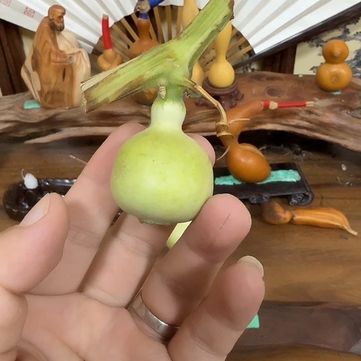 小***Zjcjvjijvkvkvikvkbobo