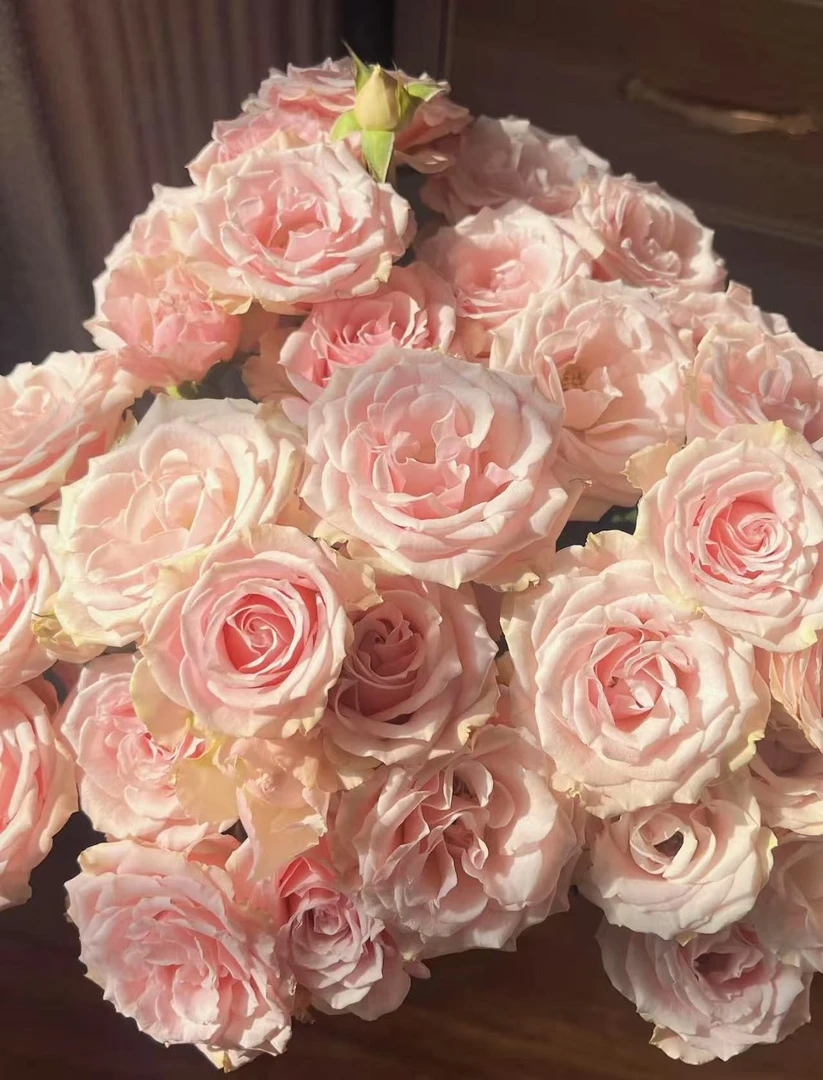 【陌上花开】粉玲珑-多头玫瑰（收到请带包装醒花~）