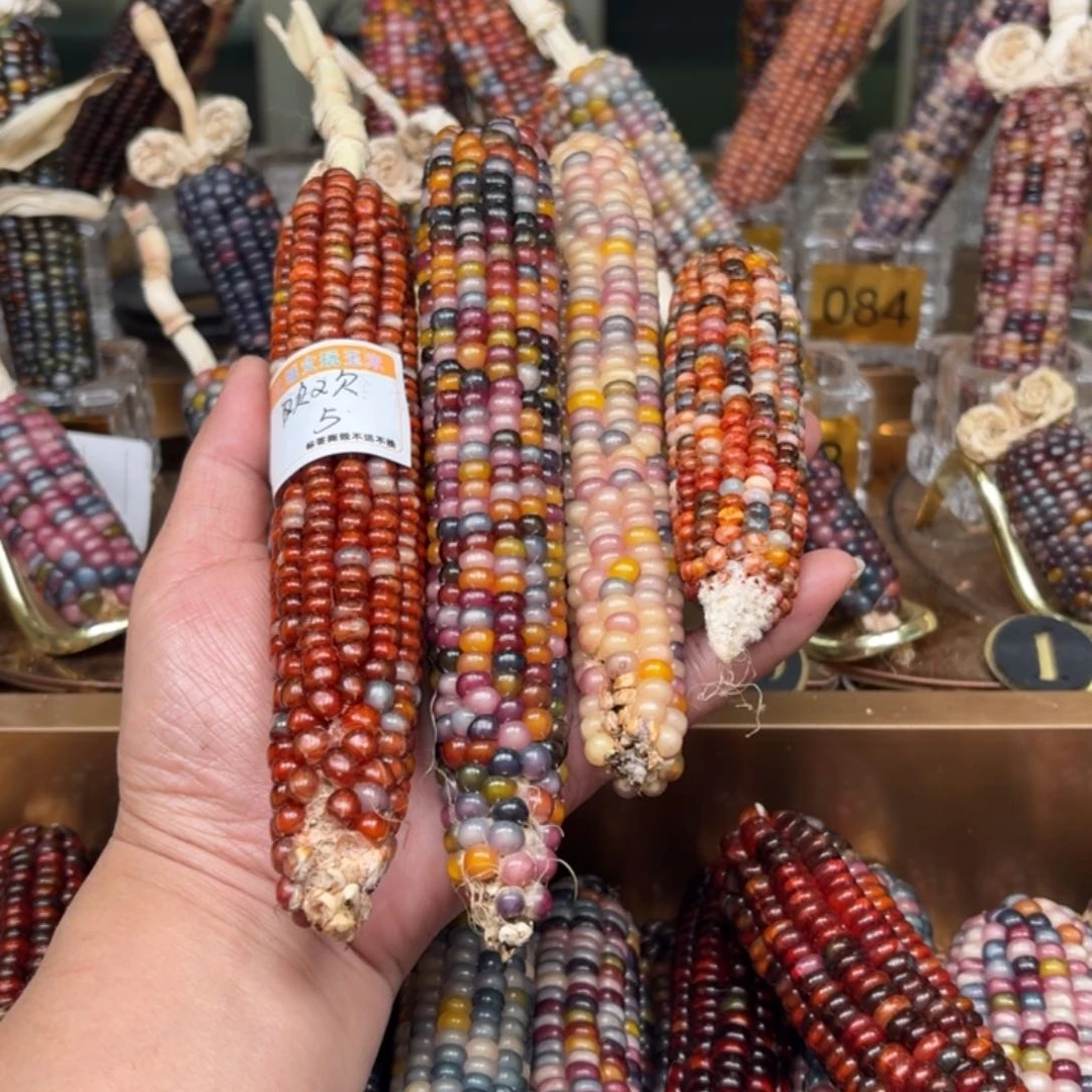 柏香籽/百香籽吊坠欢****常