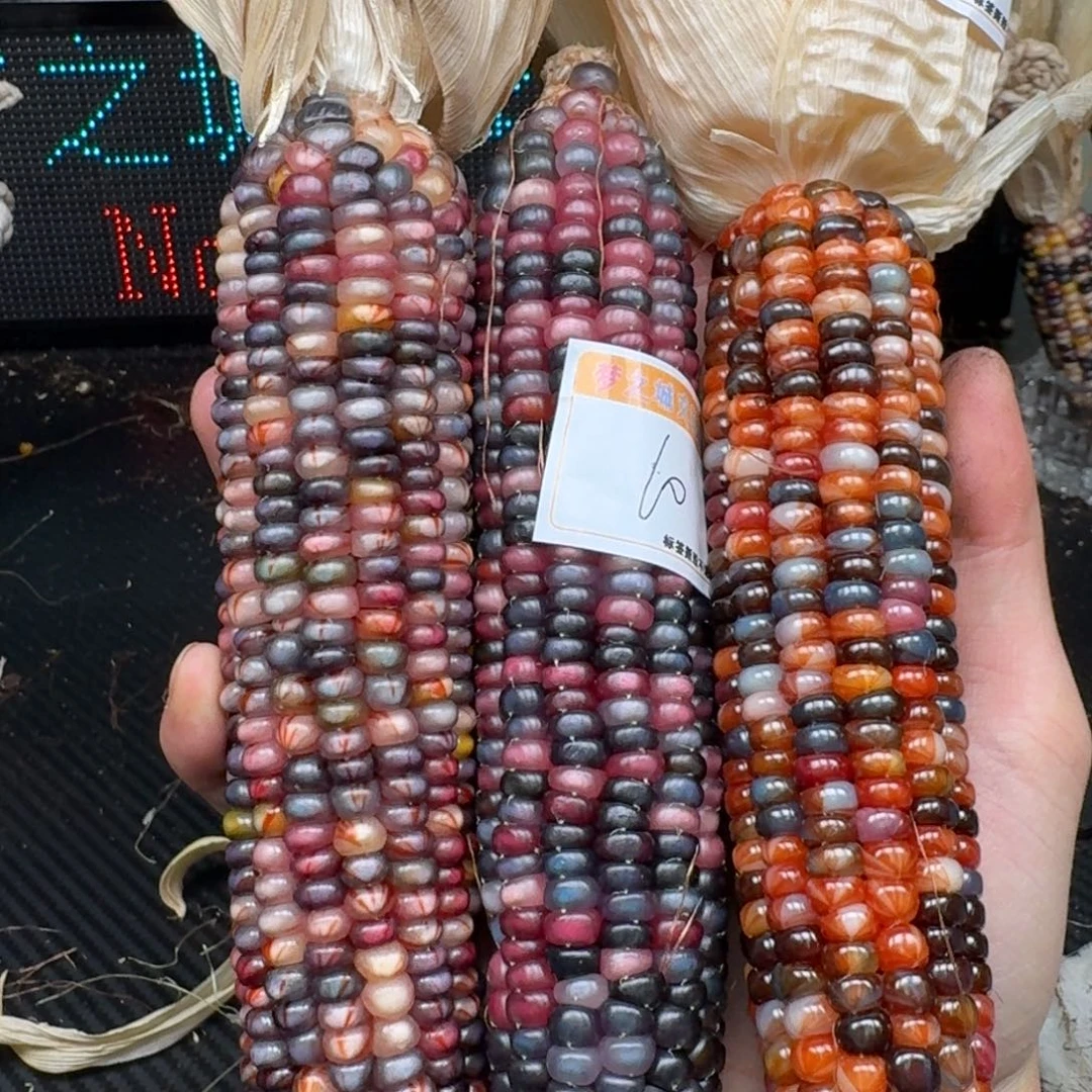 柏香籽/百香籽吊坠白**?