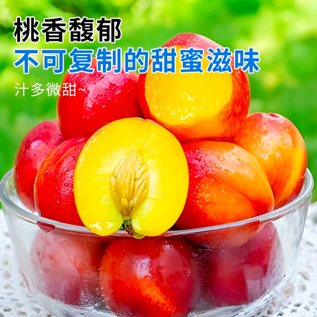 【山西运城黄心油桃】头茬黄肉油桃现摘脆甜多汁季水果新鲜孕妇水果