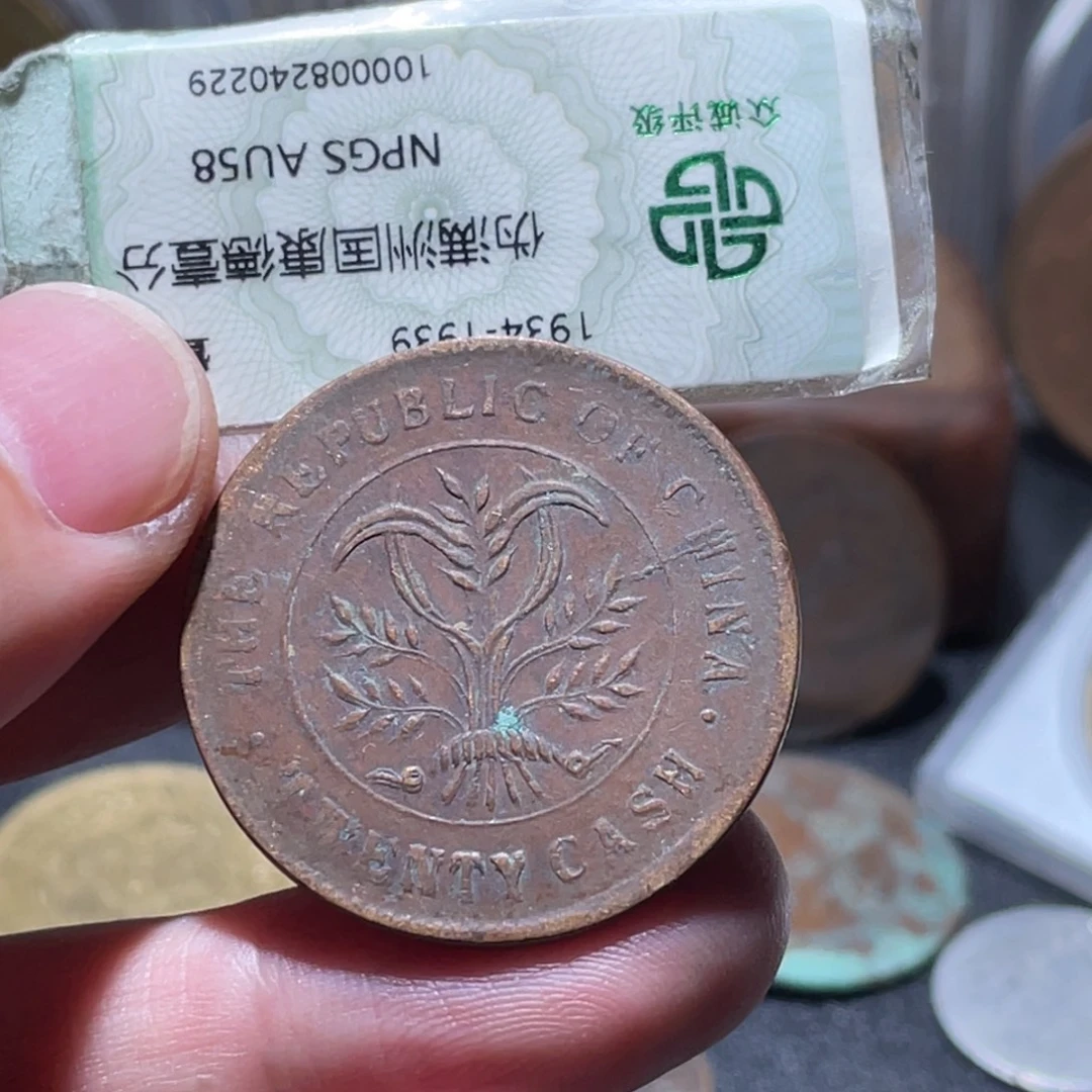 用***6铜通古博今251229范范03